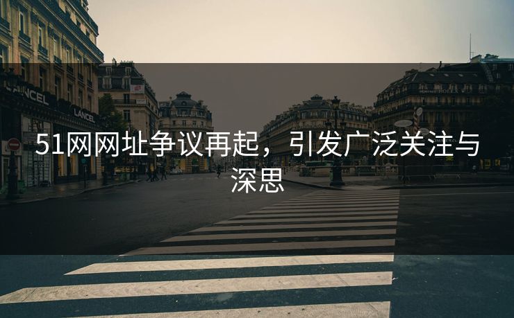 51网网址争议再起，引发广泛关注与深思