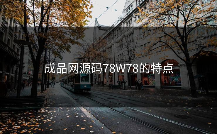 成品网源码78W78的特点