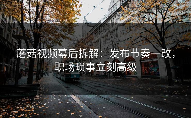 蘑菇视频幕后拆解:发布节奏一改,职场琐事立刻高级