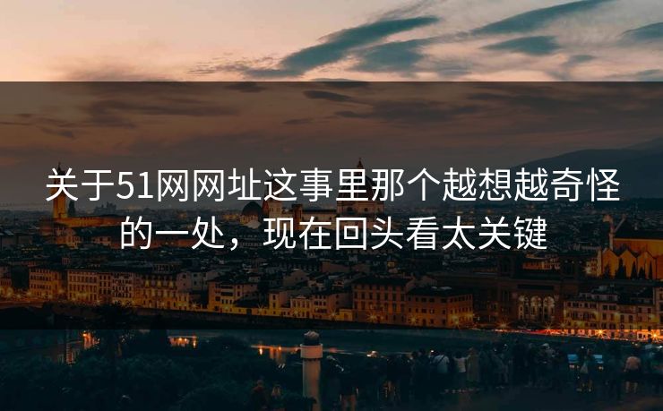 关于51网网址这事里那个越想越奇怪的一处,现在回头看太关键