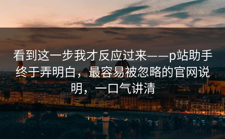 看到这一步我才反应过来——p站助手终于弄明白，最容易被忽略的官网说明，一口气讲清